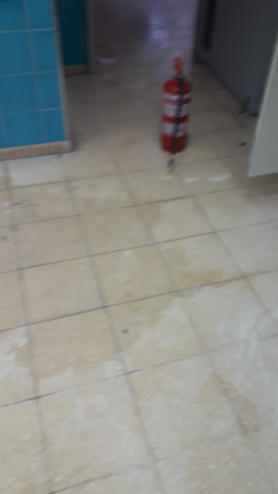 WhatsApp Image 2022-08-28 at 8.34.34 AM.jpeg